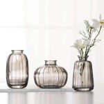Glass Bud Vases Set of 3 for Home Decor