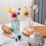 Glass Bud Vases Set of 3 for Home Decor