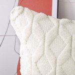 Pack of 2 Soft Velvet Decorative Throw Pillow Covers