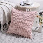 2 Pack Striped Pom-Pom Throw Pillow Covers