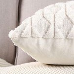 Pack of 2 Soft Velvet Decorative Throw Pillow Covers