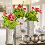 Dublin Decorative Tray and Orbs Set - Silver