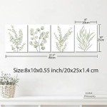 Botanical Eucalyptus Wall Art - Set of 4
