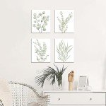 Botanical Eucalyptus Wall Art - Set of 4