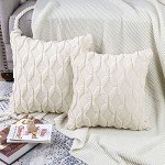 Pack of 2 Soft Velvet Decorative Throw Pillow Covers