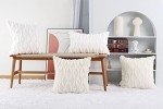 Pack of 2 Soft Velvet Decorative Throw Pillow Covers