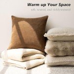 Two Soft Textured Square Decorative Pillow Covers