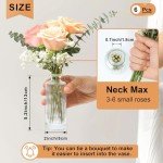 Set of 6 Mini Clear Glass Bud Vases
