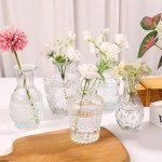 10-Piece Transparent Bud Vases for Decor