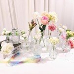 10-Piece Transparent Bud Vases for Decor