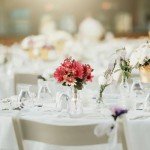 10-Piece Transparent Bud Vases for Decor