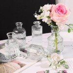 10-Piece Transparent Bud Vases for Decor