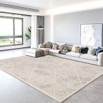 Moroccan Geometric Stripe Soft Area Rug - Ivory