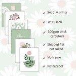 Sage Green Botanical Posters for Home Decor