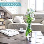 Elegant Glass Flower Vase for Rustic Home Decor