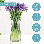 Elegant Glass Flower Vase for Rustic Home Decor