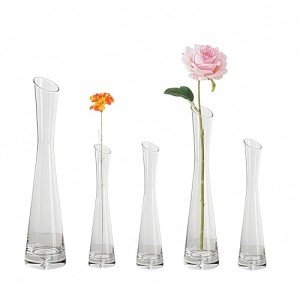Set of 5 Clear Glass Bud Vases