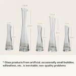 Set of 5 Clear Glass Bud Vases