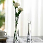 Set of 5 Clear Glass Bud Vases