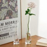 Set of 5 Clear Glass Bud Vases