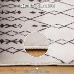 Moroccan Geometric Area Rug for Living Room