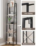 5-Tier Greige Ladder Shelf with Hooks