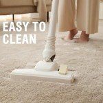 Cozy Large Fluffy Area Rug for Living Room