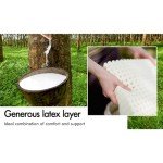 Queen Size Starry Eucalyptus Pocket Spring Mattress