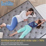 Duchess Queen Eurotop Hybrid Mattress with Memory Foam