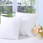 Silknise Microfiber Cushion Filler - Set of 2