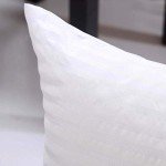Silknise Microfiber Cushion Filler - Set of 2