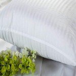 Silknise Microfiber Cushion Filler - Set of 2