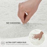 Soft Plush Ivory Shag Rug for Living Room