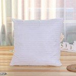 Silknise Microfiber Cushion Filler - Set of 2
