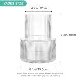 Ribbed Clear Glass Flower Vase for Home Decor