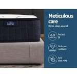 Giselle Queen Mattress with Bonnell Foam and Euro Top