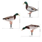 3-Pc Acrylic Duck Garden Statues for Outdoors