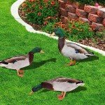 3-Pc Acrylic Duck Garden Statues for Outdoors