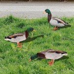 3-Pc Acrylic Duck Garden Statues for Outdoors