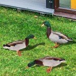3-Pc Acrylic Duck Garden Statues for Outdoors