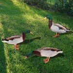 3-Pc Acrylic Duck Garden Statues for Outdoors