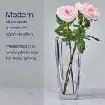 Mikasa Baron 11.75 Inch Crystal Vase