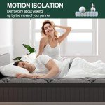 Duchess Hybrid Gel Memory Foam Double Mattress