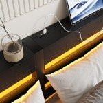Full Size Metal Bed Frame with USB & LED