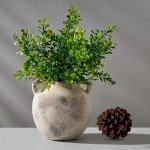 Rustic 5.8-Inch Terracotta Vase with Handles