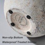 Rustic 5.8-Inch Terracotta Vase with Handles