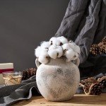 Rustic 5.8-Inch Terracotta Vase with Handles