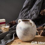 Rustic 5.8-Inch Terracotta Vase with Handles