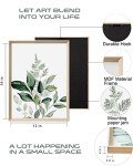 Botanical Olive Leaf Wall Art Set of 3