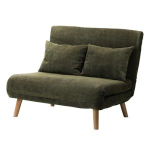 Cozy Green 2-Seater Folding Lounge Chair